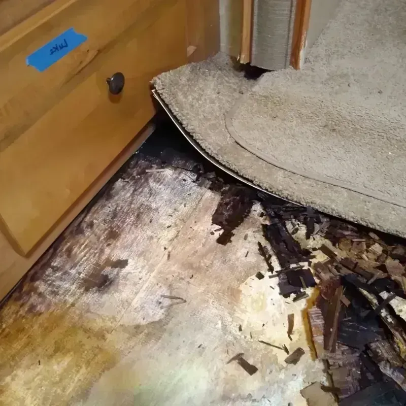 Wood Floor Water Damage in Kershaw, SC